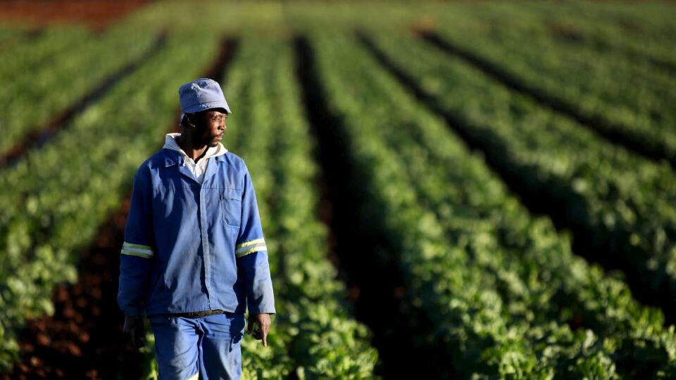 Afrique : un partenariat historique pour révolutionner l'agriculture