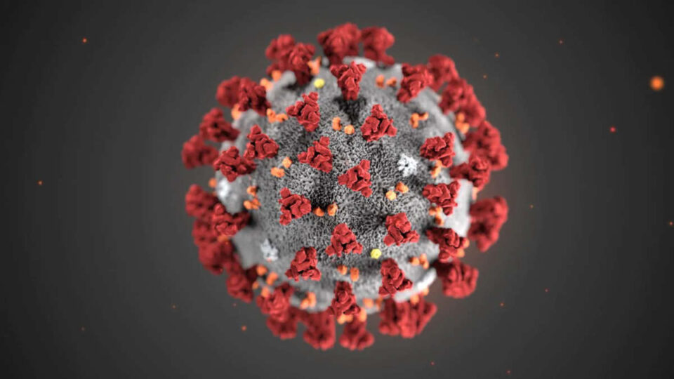 COVID-19 : un éminent expert hongkongais met en garde sur de potentielles nouvelles maladies