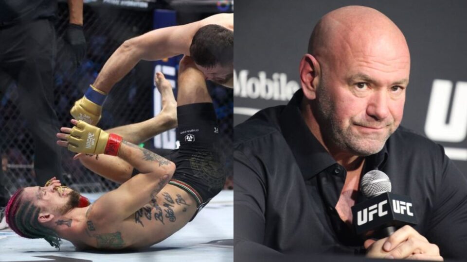 Dana White analyse la défaite de Sean O'Malley en main event de l'UFC Noche