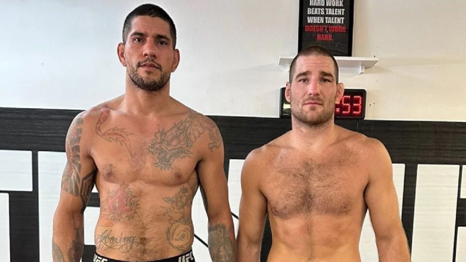 Images du sparring entre Alex Pereira et Sean Strickland avant UFC 307