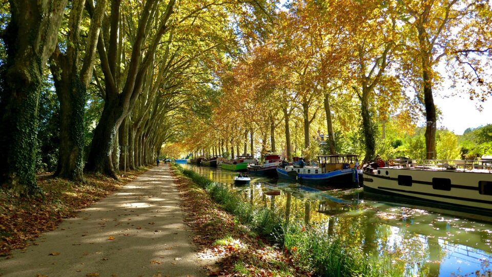 Un homme mort à moitié nu retrouvé dans le Canal du Midi à Toulouse